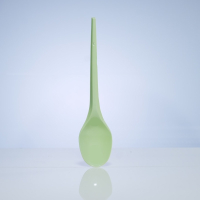 Green Pastel Spoon
